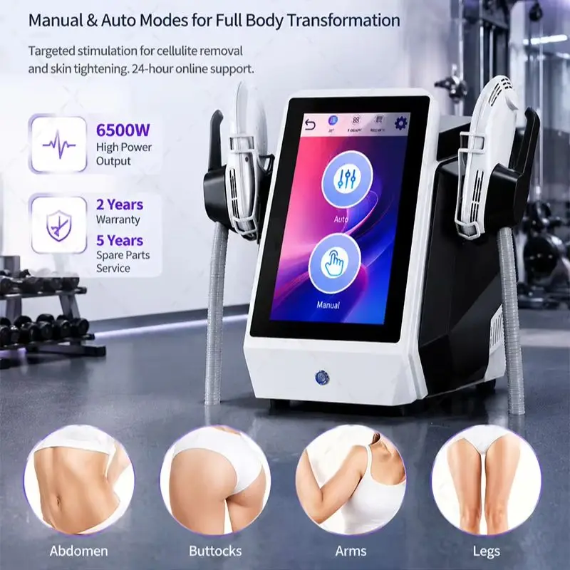 Equipo de Belleza Corporal EMS - Rf Microneedling Machine Fractional reseña y precio